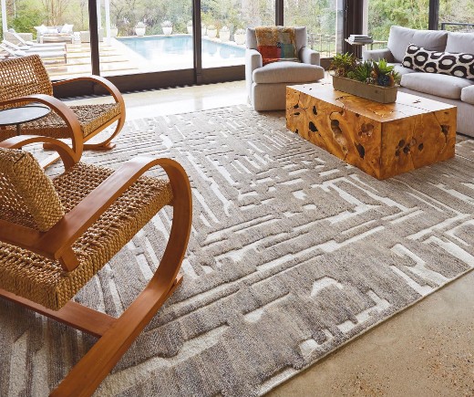 image of textural area rug in living room